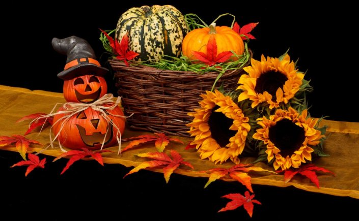 autumn, fall season, Halloween, pumpkins, witch hat, gourds, sunflowers, colorful leaves, fall leaves, maple, red, orange, yellow, green, spooky, creepy, fun, holidays,